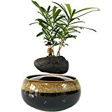 High-Tech Produkt Air Bonsai Lenker Radaufhängung Blumentopf Topfpflanzen Levitate Geschenk