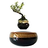 High-Tech Produkt Floating Bonsai Lenker Radaufhängung Blumentopf Topfpflanzen Levitate Geschenk