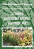hochwertiges Saatgut - frische Samen der Sarracenia Hybriden - eigene Fleischfressende Pflanzen züchten und erleben