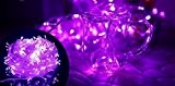 Holiday 32 Feet 100 Led Light String Christmas Party Fairy Light with Tail Plug with 8 Functions (PURPLE) with EXTENSION ...