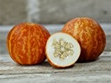 Honigmelone Tigger - Melone - 5 Samen