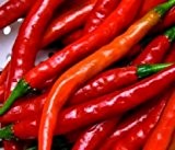 Hot Chili Pepper - Cayenne Long Red Slim 10 Samen