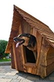 Hundehütte Hund Design 100% Holz Handwerk EdyBau S extern