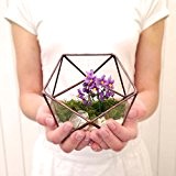 Icosahedron Small Geometric Glass Terrarium / / Handmade Glass Planter / Modern Planter for Indoor Gardening / Stained Glass Terrarium ...