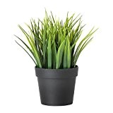 IKEA FEJKA künstliche Topfpflanze Gras; (10,5cm)