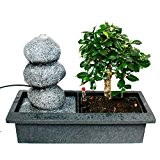 Indoor-Bonsai mit Zimmer-Brunnen "Balance" - 3 Kieselsteine - Easy Care System