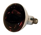 Infrarotlampe 250W Hartglas, rot