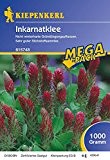 Inkarnatklee, 1 kg, Trifolium incarnatum var. sativum - 1 Foliensack/ 1 kg