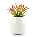 INNTER Succulent Planter Pot, Cute Teeth White Mini Ceramic Plant Flower Pot Succulent Planter (Tall-3.15X3.94Inch)