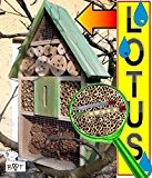 Insektenhotel LOTUS + 2 x Sichtglas + Marienkäferhaus + Schmetterlingshaus, moosgrün grün natur Nistkasten Schmetterlinge Bienen Marienkäfer Insektenhotel,Oberflächen Beschichtung und ...