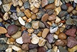 Irish Beach Pebble Collection (20 kg)