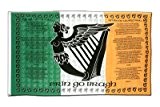 Irland Soldiers Song Flagge, irische Fahne 90 x 150 cm, MaxFlags®
