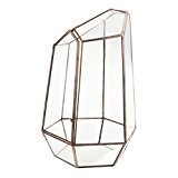 Irreguläre Mini Glasterrarium Geometrisches Glas Sukkulente Pflanzgefäß Haus Dekoration - 10 x 10 x 15cm