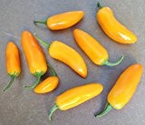 Jalapeno Gelb 10 Samen -Tolle Neue Chili-Sorte-