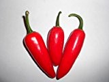 Jalapeno Pepper 20 Samen (Massenträger) (Big-Pack)