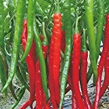 Joes Long Red (Die Rießen-Chili mit 40cm Langen Früchten) 10 Samen