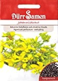 Johanniskraut, Hypericum perforatum, ca. 100 Samen