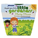 Johnsons Starter Topf Mimosen Samen für kleine Gärtner