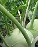 Just Seed - Gemüse - Kohlrabi - Superschmelz - 150 Samen