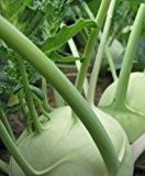 Just Seed - Gemüse - Kohlrabi - Superschmelz - 700 Samen