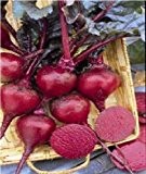 Just Seed - Gemüse - Rote Beete - Crimson King - 1000 Samen