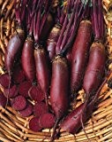 Just Seed - Gemüse - Rote Beete - Cylindra - 500 Samen