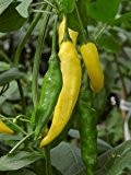 Just Seed - Vegetable - Chili / Chilli Pepper Hot Lemon - 50 Seeds - Tasty