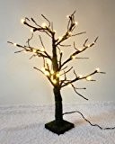 Kaemingk LED Baum mit Moosfinish, aussen, Aussentrafo, 36 warmweiße LED, 60 cm 492352
