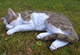 Katze Peterchen schlafend Figur Garten TOP