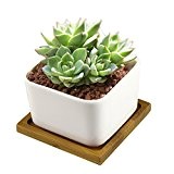 Keramik Blumentöpfe, Y & M (TM) Mini Deko Weiß Quadratisch sucuulent Blumentopf/Cactus Pflanztopf mit Bambus Tablett