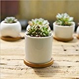 Keramik Blumentöpfe, Y & M (TM) weiß rund schlichtes Design sucuulent Blumentopf/Cactus Pflanztopf Blumentopf mit Bambus Tablett/Behälter/Pflanzkübel