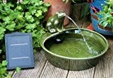 Keramik Frosch Solar Wasserspiel