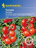 Kiepenkerl 910182  Tomaten Phantasia F1