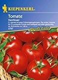 Kiepenkerl 910285  Tomaten Harzfeuer