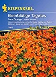 Kiepenkerl Tagetes tenuifolia Luna Orange
