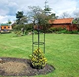 Kingfisher Garten-Obelisk aus Stahl für Kletterpflanzen und Rosen