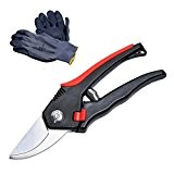 Kingstar Garden Pruner Secateur scissor Set of Sharp Heavy Duty Pruning Snip Shear and Protective Gloves by Kingstar