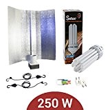 Kit Beleuchtung Energiesparlampe 250 W CFL Solux Blüte + Reflektor pearlpro