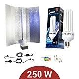Kit Beleuchtung Energiesparlampe 250 W CFL Solux Wachstum + Reflektor pearlpro