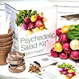 Kit Psychedelischer Salat von Plant Theatre - 5 fantastische Salatsorten zum Züchten - Ein tolles Geschenk