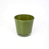 Kleine Glasvase / Windlicht ALENA, dunkelgrün, 10,5cm, Ø11,5cm - Blumentopf / Tisch Glasvase