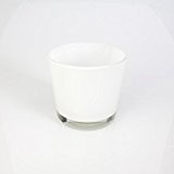 Kleine Glasvase / Windlicht ALENA, weiß, 10,5cm, Ø11,5cm - Blumentopf / Tisch Glasvase