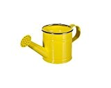Kleine Metall Gießkanne 0,75 l für Balkon und Wohnungspflanzen Pflanzen: Farbe: Gelb