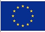 Kleinfahne Europa - 20 x 30cm - Flagge und Fahne