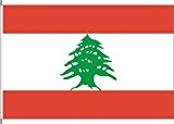 Kleinfahne Libanon - 20 x 30cm - Flagge und Fahne