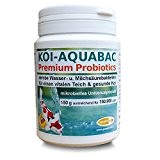 KOI-AQUABAC für 150.000 Liter, probiotische Filterbakterien, Milchsäurebakterien, Koi, Teich