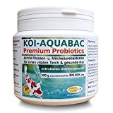 KOI-AQUABAC für 300.000 Liter, probiotische Filterbakterien, Milchsäurebakterien, Koi, Teich