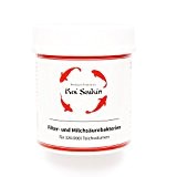 Koi Saikin - Instant Filterbakterien und Starterbakterien hochkonzentriert für 320 m³ Gartenteich (320 g)