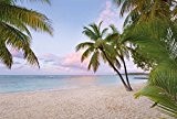 Komar Fototapete, XXL4-528, Vliestapete,PARADISE MORNING, 368x248cm Sonnenaufgang Karibik Strand NG