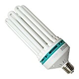 Kompakt-Leuchtstofflampe CFL 200 W weiß 6400 & # 176; K - Wachstum